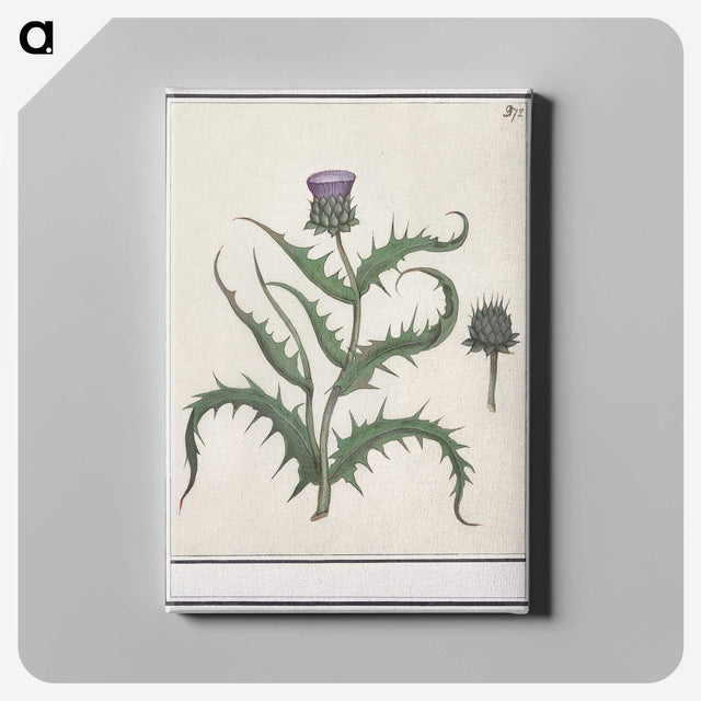 1-81_Anselmus-Boetius-de-Boodt_canvas