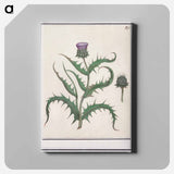 Artichoke - アンセルムス ボエティウス デ ブート Canvas.
