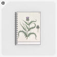 1-81_Anselmus-Boetius-de-Boodt_memo