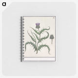 1-81_Anselmus-Boetius-de-Boodt_memo