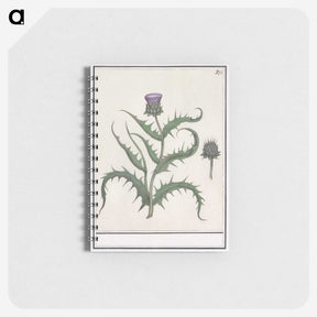 1-81_Anselmus-Boetius-de-Boodt_memo