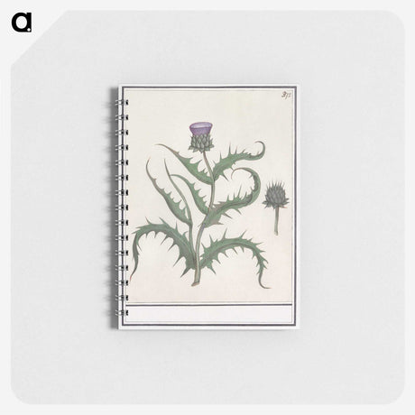 1-81_Anselmus-Boetius-de-Boodt_memo