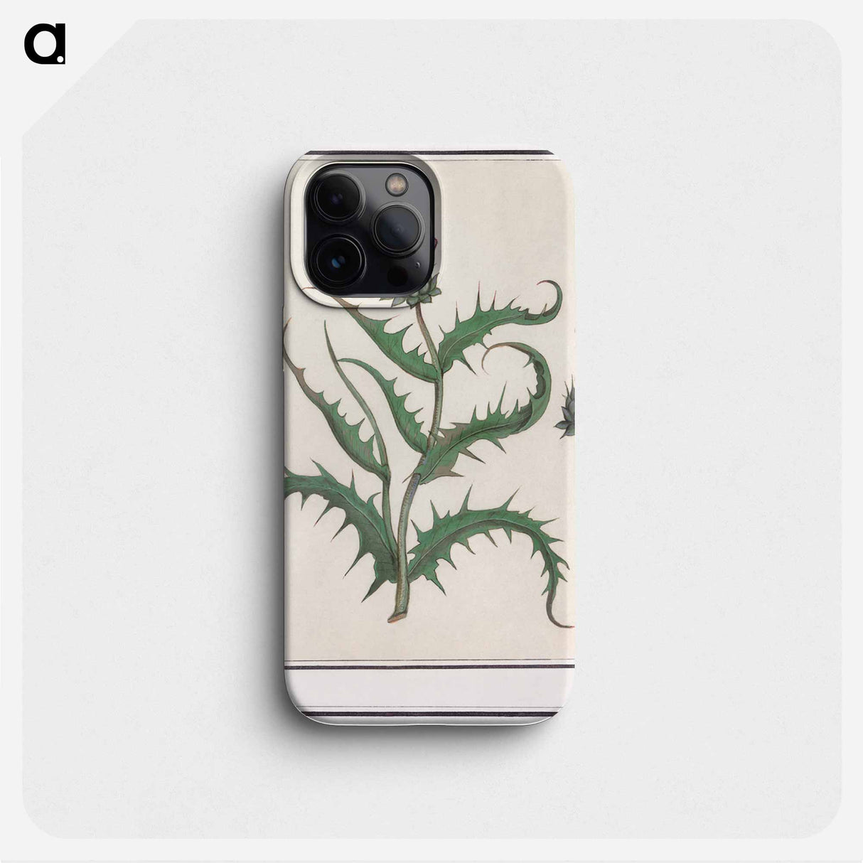 Artichoke - アンセルムス ボエティウス デ ブート Phone Case.