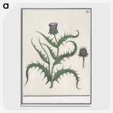 1-81_Anselmus-Boetius-de-Boodt_picture-crop