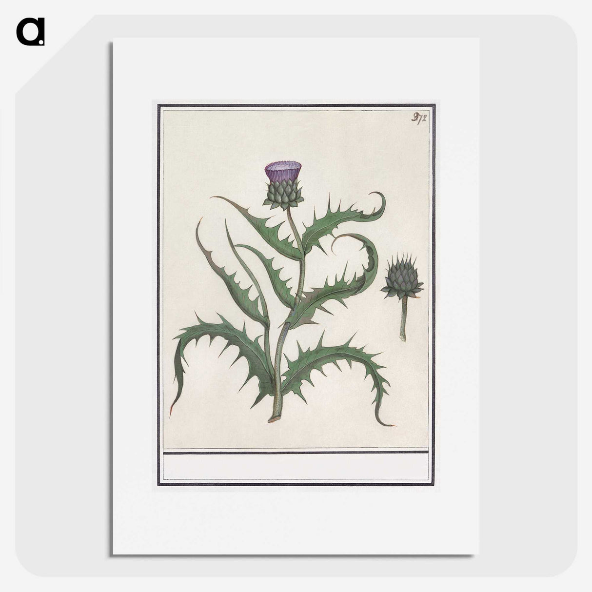 1-81_Anselmus-Boetius-de-Boodt_picture