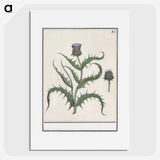 1-81_Anselmus-Boetius-de-Boodt_picture