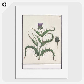 1-81_Anselmus-Boetius-de-Boodt_picture