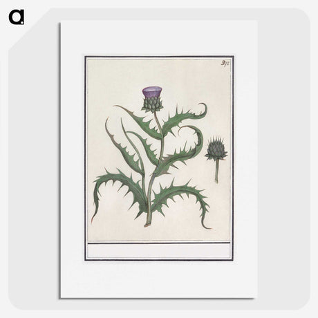 1-81_Anselmus-Boetius-de-Boodt_picture