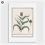 Artichoke - アンセルムス ボエティウス デ ブート Poster.