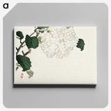 1-81_Bairei-Gakan_canvas