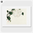 1-81_Bairei-Gakan_picture