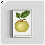 1-81_Botanical-Specimen-Plates_blk-crop