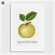1-81_Botanical-Specimen-Plates_picture
