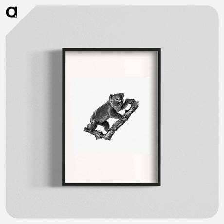 アートポスター-Koala
 - 大英図書館 Poster.