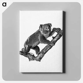 アートパネル-Koala
 - 大英図書館 Canvas.