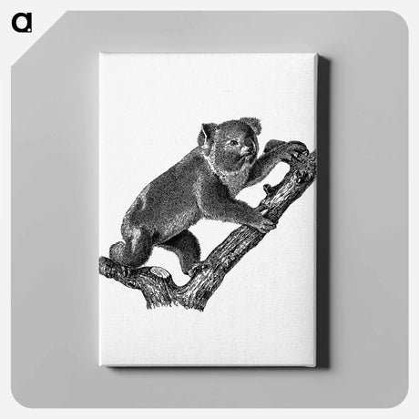 アートパネル-Koala
 - 大英図書館 Canvas.