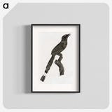 1-81_Des-Oiseaux-de-Paradis_blk