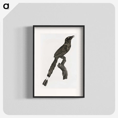 1-81_Des-Oiseaux-de-Paradis_blk