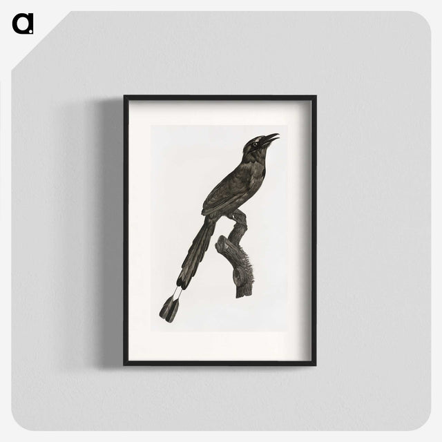 1-81_Des-Oiseaux-de-Paradis_blk