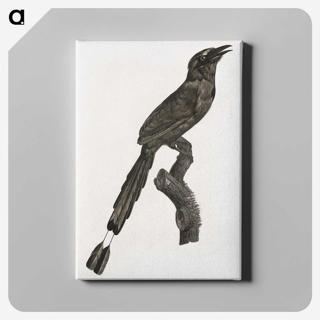 1-81_Des-Oiseaux-de-Paradis_canvas