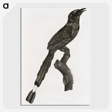 1-81_Des-Oiseaux-de-Paradis_picture-crop