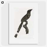 1-81_Des-Oiseaux-de-Paradis_picture