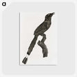 1-81_Des-Oiseaux-de-Paradis_postcard
