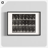 1-81_Eadweard-Muybridge_blk