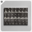 1-81_Eadweard-Muybridge_canvas