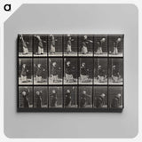 1-81_Eadweard-Muybridge_canvas