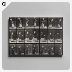 1-81_Eadweard-Muybridge_canvas