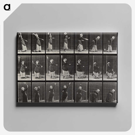 1-81_Eadweard-Muybridge_canvas
