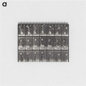 1-81_Eadweard-Muybridge_memo