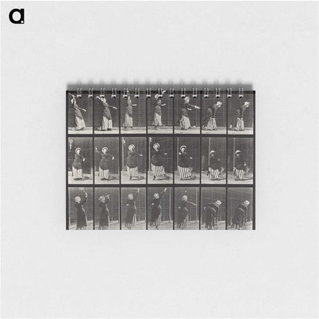 1-81_Eadweard-Muybridge_memo