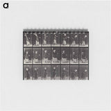 アートメモ帳-Lawn Tennis, Serving
 - エドワード マイブリッジ Memo.