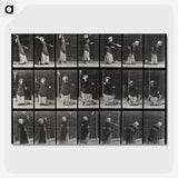 1-81_Eadweard-Muybridge_picture-crop