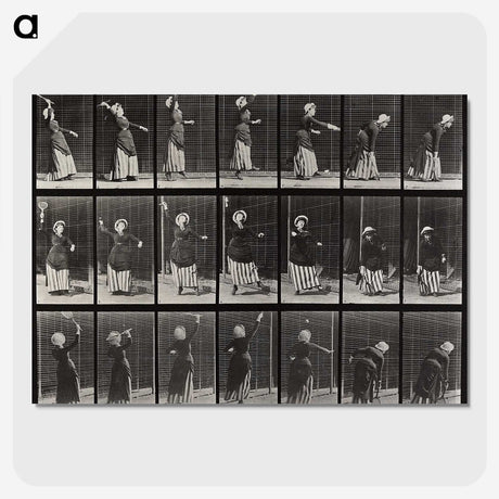 1-81_Eadweard-Muybridge_picture-crop