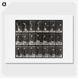 1-81_Eadweard-Muybridge_picture
