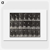 1-81_Eadweard-Muybridge_picture