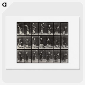 1-81_Eadweard-Muybridge_picture