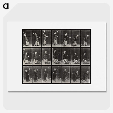 1-81_Eadweard-Muybridge_picture
