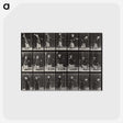 1-81_Eadweard-Muybridge_postcard