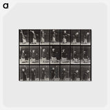 アートポストカード-Lawn Tennis, Serving
 - エドワード マイブリッジ Postcard.