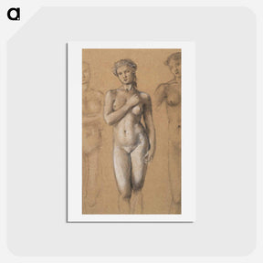 アートポストカード-Female Nude: Three Studies, possibly for Venus - エドワード バーン ジョーンズ Postcard.