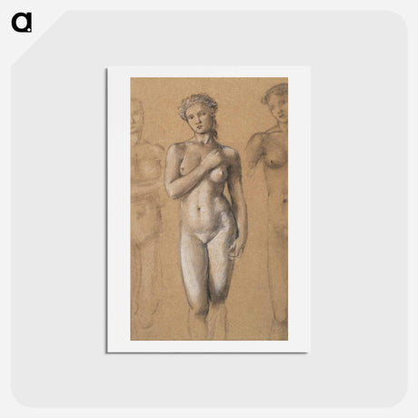 アートポストカード-Female Nude: Three Studies, possibly for Venus - エドワード バーン ジョーンズ Postcard.