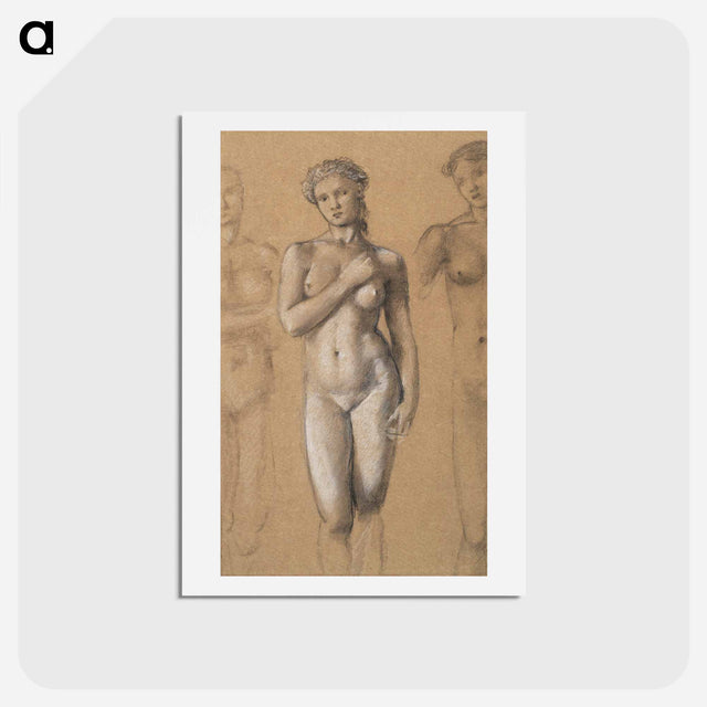 アートポストカード-Female Nude: Three Studies, possibly for Venus - エドワード バーン ジョーンズ Postcard.