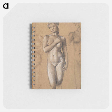 アートメモ帳-Female Nude: Three Studies, possibly for Venus - エドワード バーン ジョーンズ Memo.