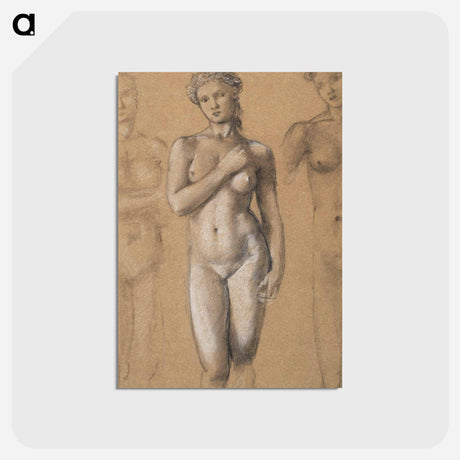 アートポストカード-Female Nude: Three Studies, possibly for Venus - エドワード バーン ジョーンズ Postcard.
