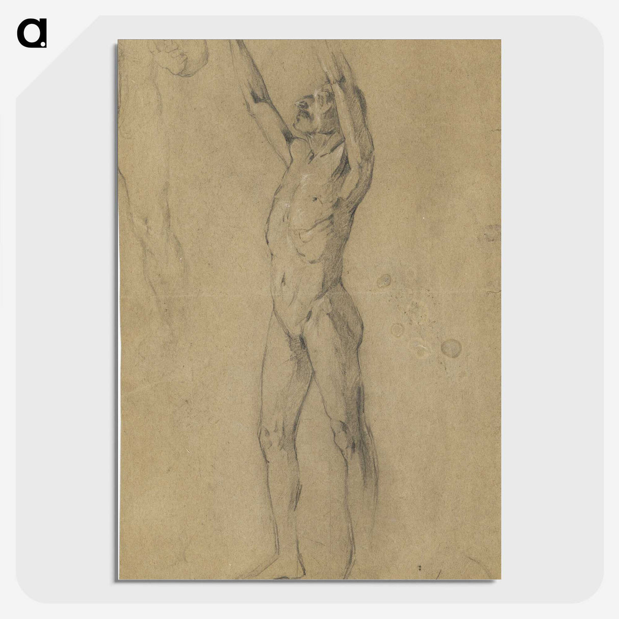 1-81_Egon-Schiele_picture-crop
