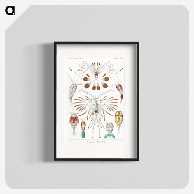 1-81_Ernst-Haeckel_blk